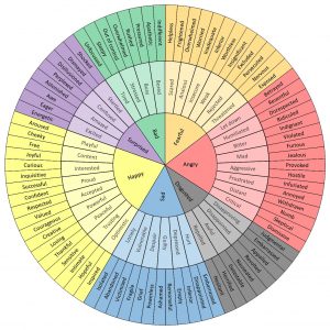wheel showing the 7 core emotions and their related feelings