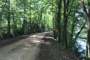 Rapids Trail