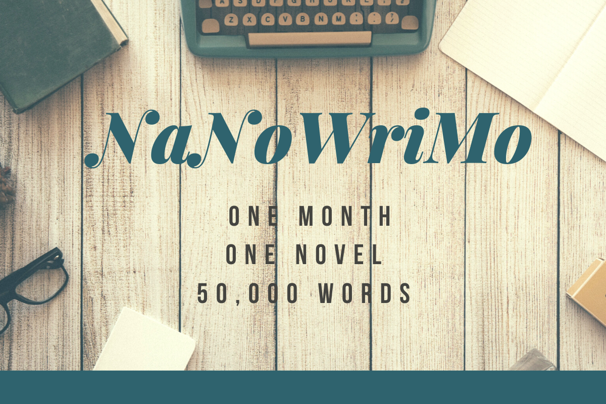 national novel writing month nanowrimo winner