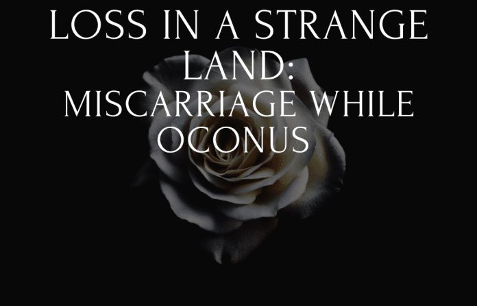 loss in a strange land with white rose on black background