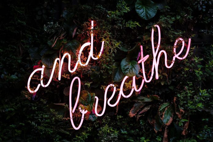 and breathe neon sign on greenery