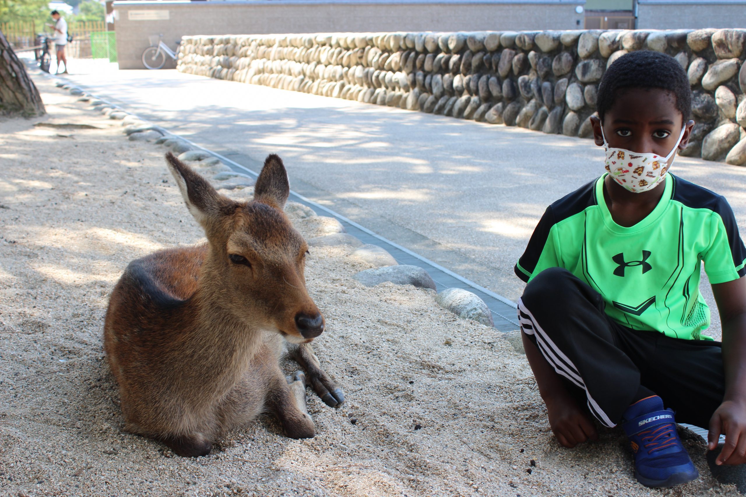 young boy sitting next to a tame deer on miyajima