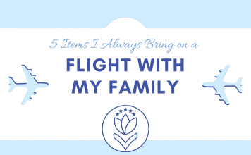 airplanes with white and blue background and "5 Items I Always Bring on a Flight with my Family" in text