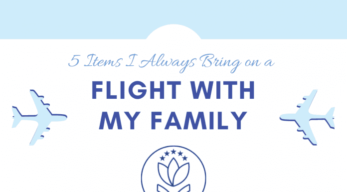 airplanes with white and blue background and "5 Items I Always Bring on a Flight with my Family" in text
