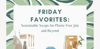 green leaves on a white background with sustainable home products with "Friday Favorites: Sustainable Swaps for Plastic Free July and Beyond" in text