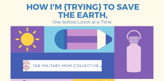 "How I'm {Trying} to Save the Earth, One School Lunch at a Time" in text with purple and blue squares and rectangles and various eco-friendly supplies, a globe, and recycle sign