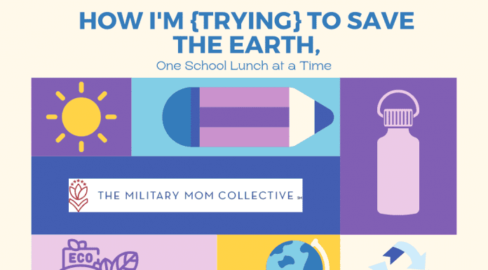 "How I'm {Trying} to Save the Earth, One School Lunch at a Time" in text with purple and blue squares and rectangles and various eco-friendly supplies, a globe, and recycle sign