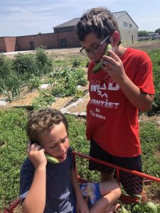 two boys use cucumbers as pretend telephones