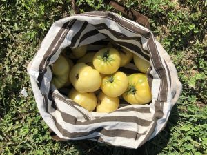 striped cloth bag with yellow tomatoes