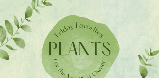 green climbing plant leaves on a green background with "Friday Favorites: Plants for the New Plant Owner" in text and MMC logo