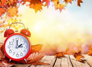 fall leaves and a sunny background with a red alarm clock