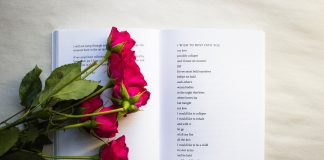 book of poetry open with dark pink roses laying on top