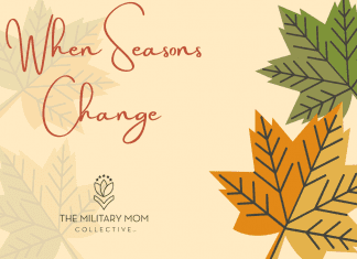 fall leaves in green and orange with faded leaves on a pale yellow background with "When Seasons Change" in text and MMC logo