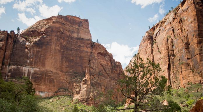 two women hiking in Zion National Park