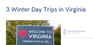 Welcome to Virginia sign with "3 Winter Day Trips in Virginia" in text and MMC logo