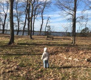 small child standing in a park with bare trees in the fall