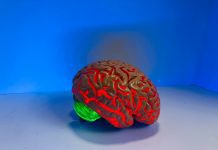model of a brain glowing red