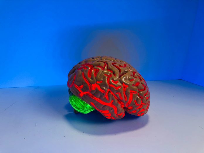 model of a brain glowing red
