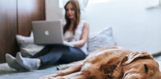 A light coloured dog is asleep in the foreground. Behind her a woman is sitting on the bed working on a silver laptop. The woman is blurred.