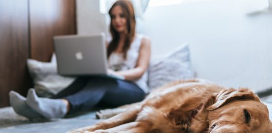 A light coloured dog is asleep in the foreground. Behind her a woman is sitting on the bed working on a silver laptop. The woman is blurred.