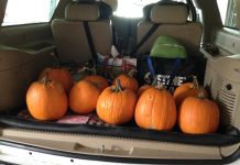 Pumpkins in the back of an SUV