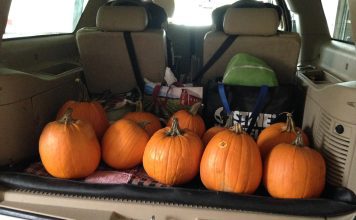 Pumpkins in the back of an SUV